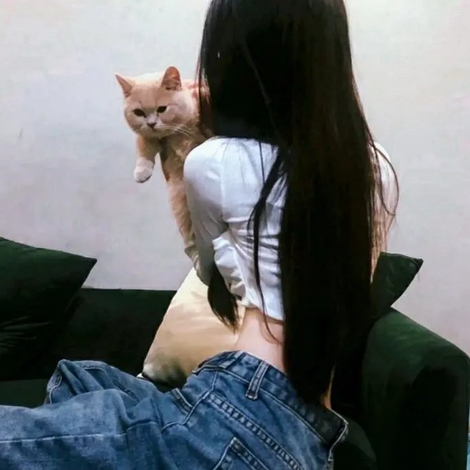 失踪: 消失的妻子