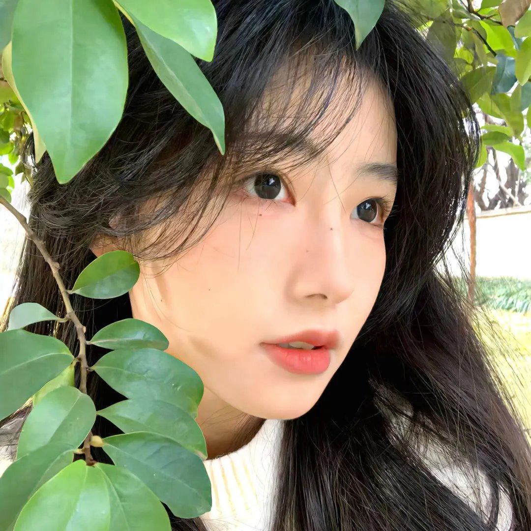 孟买风情画